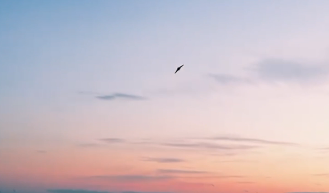 Türkiye’den yeni nesil kamikaze İHA