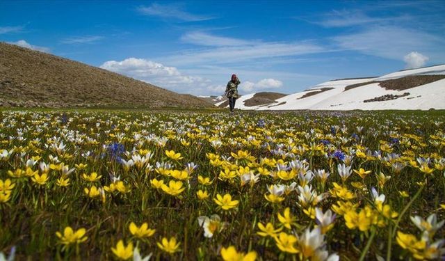 Türkiye'nin bitki bazlı gıdalardaki potansiyeli artıyor