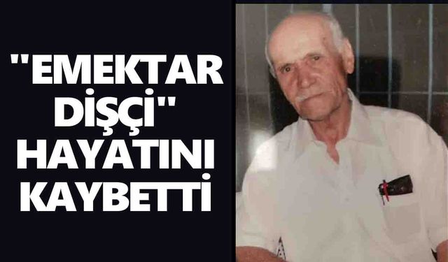 Yenipazar'da asırlık çınara veda