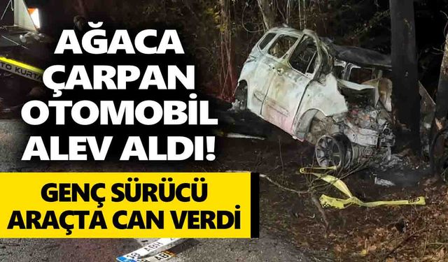 Ağaca çarpan otomobil alev aldı! Genç sürücü araçta can verdi