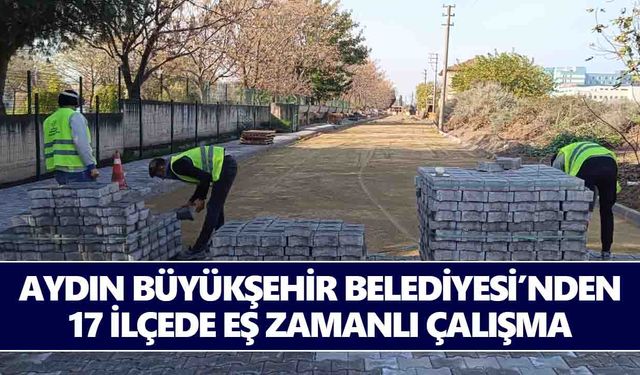 Aydın Büyükşehir Belediyesi’nden 17 ilçede eş zamanlı çalışma