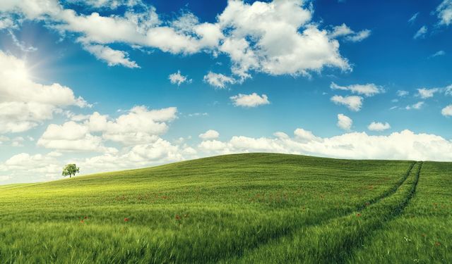 Aydın'da Son Yılların En Büyük Satışı: Mahkeme Bu Rakama Verileceğini Açıkladı