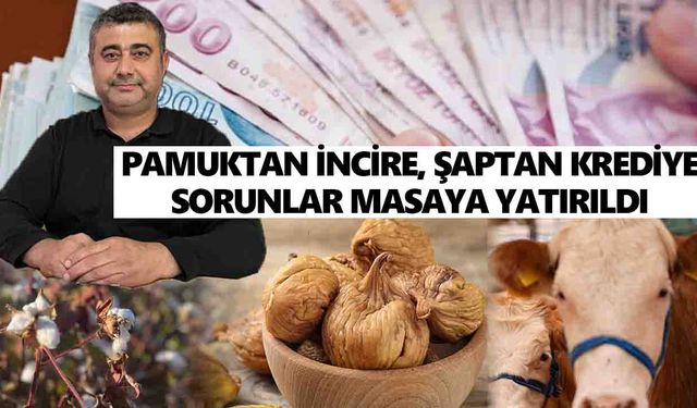 Aydınlı üreticilerin sorunları Ankara’ya iletildi