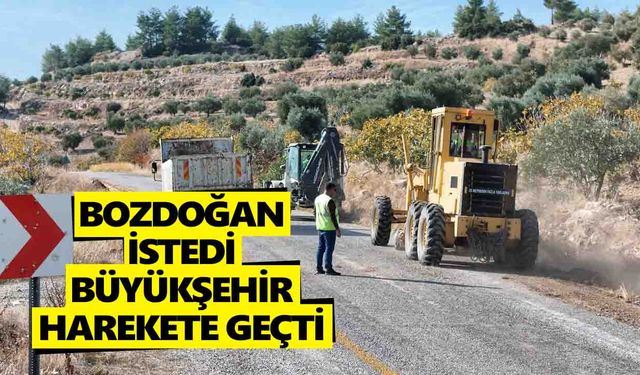 Bozdoğan istedi, Büyükşehir harekete geçti