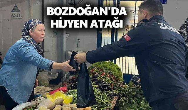Bozdoğan'da hijyen atağı