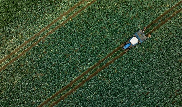 Çiftçilere 1,1 milyar liralık tarımsal destekleme ödemesi bugün yapılıyor