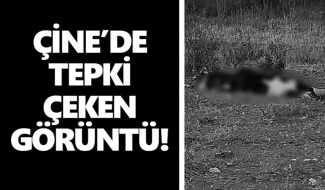 Çine’de tepki çeken görüntü!