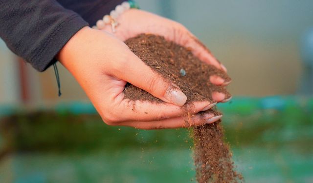 Didim'de pazar atıkları geri dönüştürülerek kompost elde ediliyor
