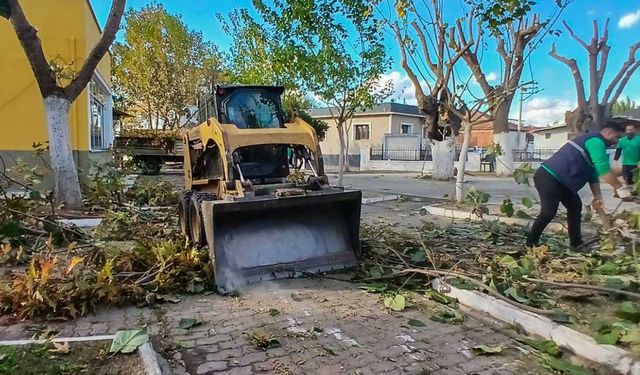 Efeler’de budama çalışmaları hız kesmiyor