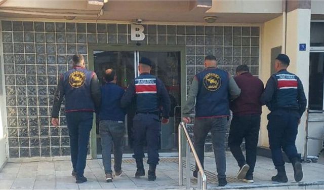 Efeler’de zeytin hırsızlığı: 400 kilo zeytin fabrikaya satılmış