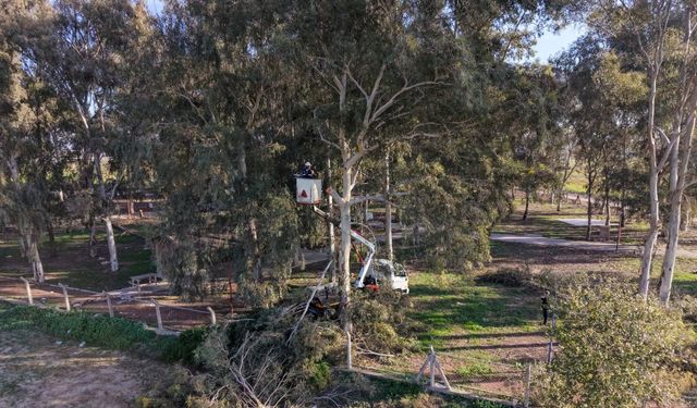 Efeler’den Tepecik Mesire Alanı’nda çalışma