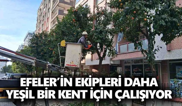 Efeler’in ekipleri daha yeşil bir kent için çalışıyor