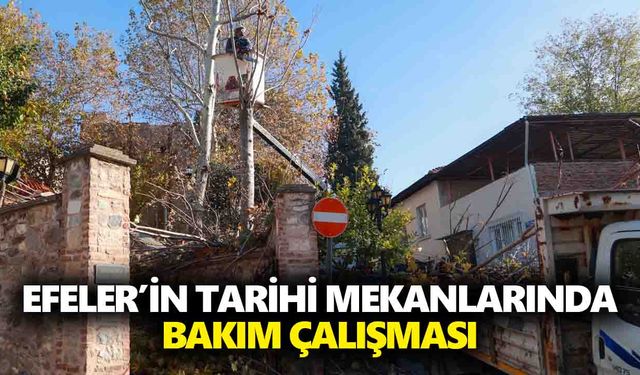 Efeler’in tarihi mekanlarında bakım çalışması