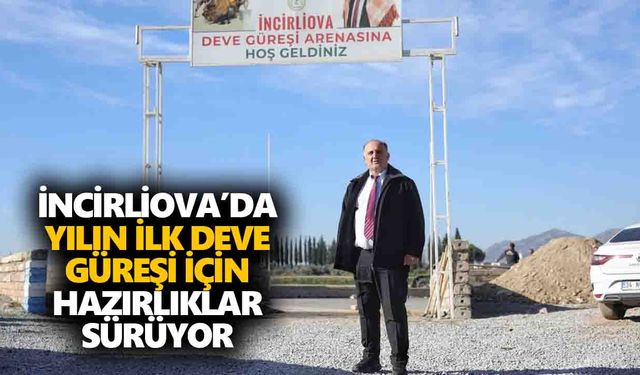 İncirliova’da yılın ilk deve güreşi için hazırlıklar sürüyor
