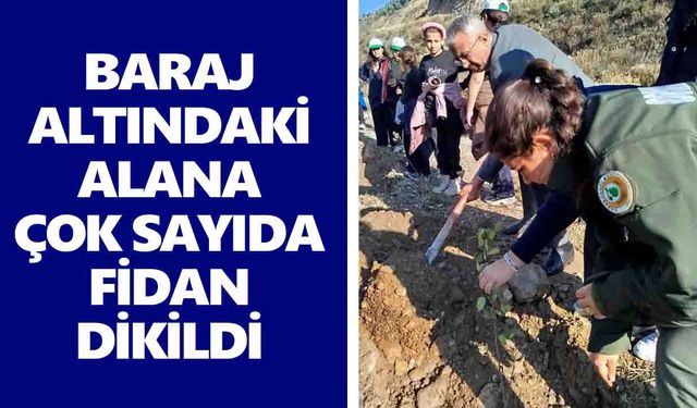 İsabeyli yeşillendi