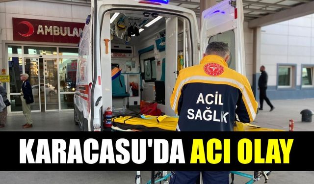 Karacasu'da acı olay: Yaşlı adam ağır yaralandı