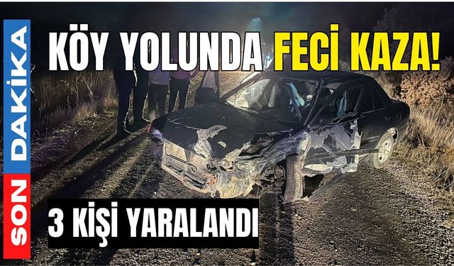 Köy yolunda feci kaza! 3 yaralı