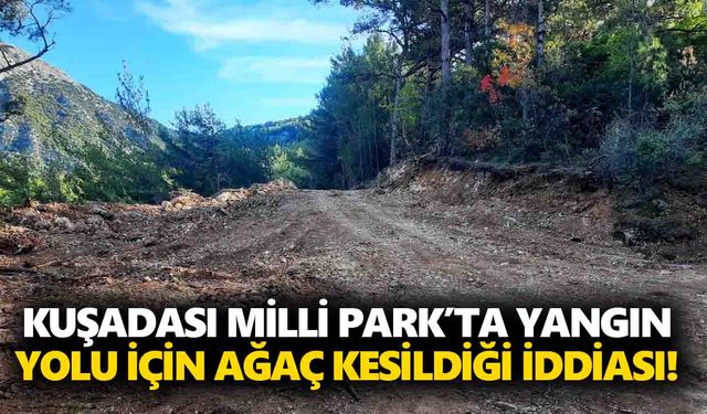 Kuşadası Milli Park’ta yangın yolu için ağaç kesildiği iddiası!