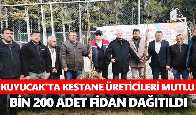 Kuyucak'ta kestane üreticileri mutlu