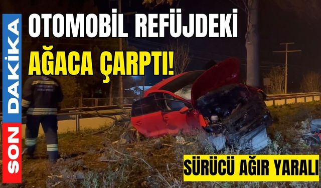 Otomobil refüjdeki ağaca çarptı! Sürücü ağır yaralı