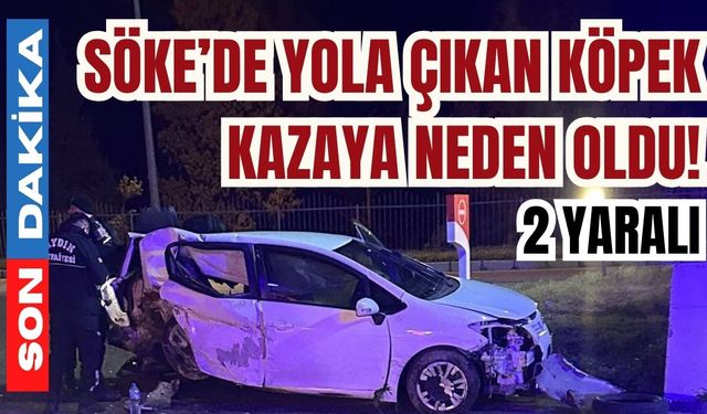 Söke’de yola çıkan köpek kazaya neden oldu! 2 yaralı