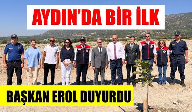 Aydın'da ilk olan üretim Buharkent'te gerçekleşiyor