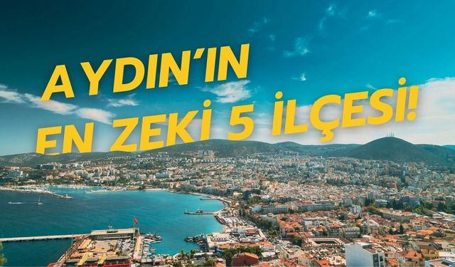 Aydın'ın en zeki 5 ilçesi açıklandı!
