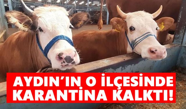 Aydınlı üreticileri sevindirecek haber! O ilçedeki karantina kalktı!