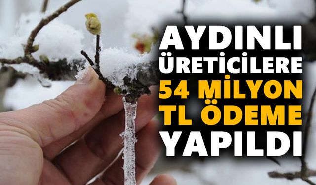 Aydınlı üreticilere 54 milyon TL ödeme yapıldı