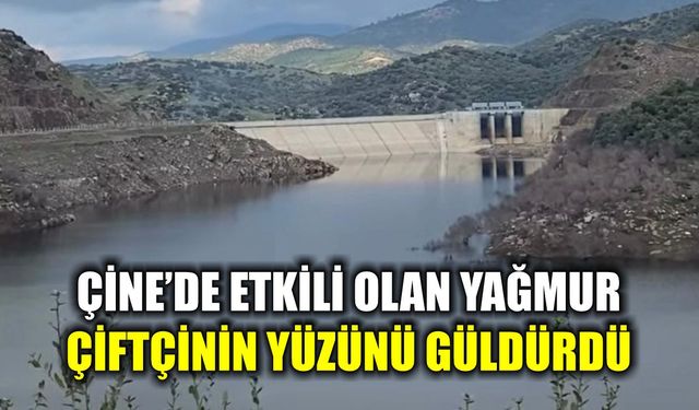Çine’de etkili olan yağmur çiftçinin yüzünü güldürdü