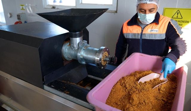 Didim’de sokak hayvanları için anlamlı proje