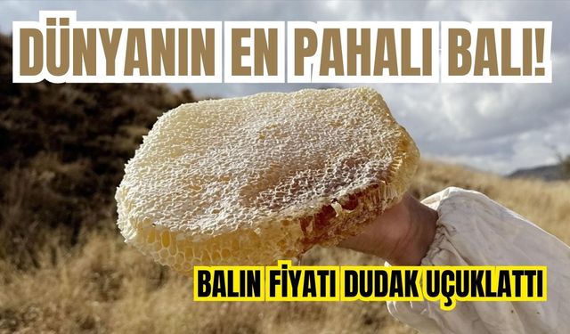 Dünyanın en pahalı balı! Balın fiyatı dudak uçuklattı