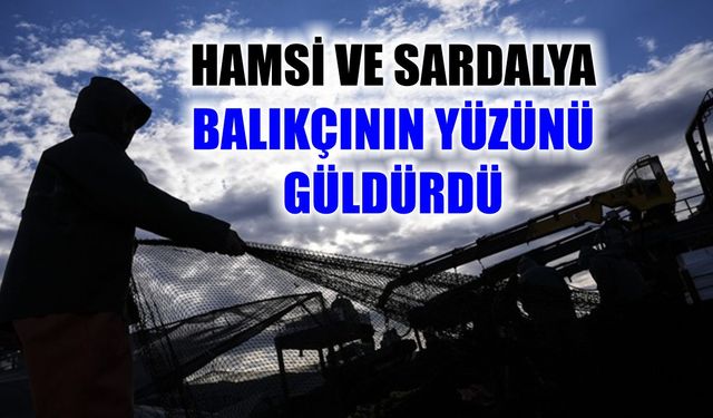 Karadeniz'de hamsi, Ege'de sardalya bereketi