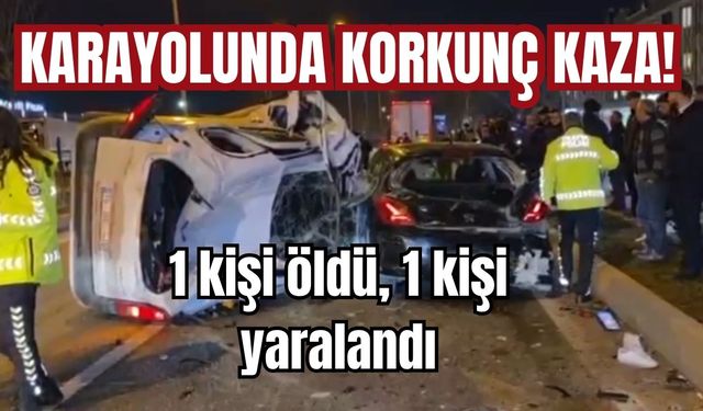 Karayolunda korkunç kaza! 1 kişi öldü, 1 kişi yaralandı