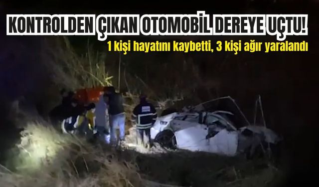 Kontrolden çıkan otomobil dereye uçtu!
