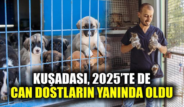 Kuşadası, 2025'te de can dostların yanında oldu