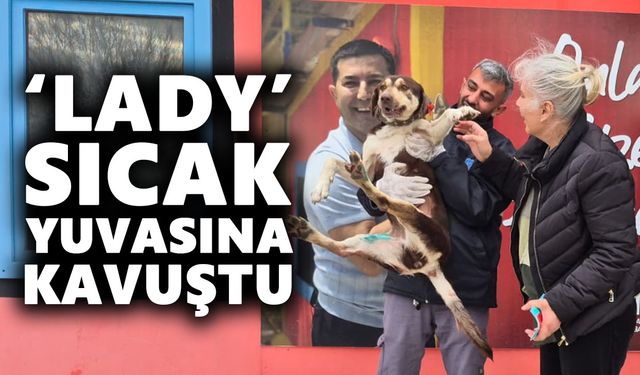 Kuşadası’nda bir can dost daha yuva buldu