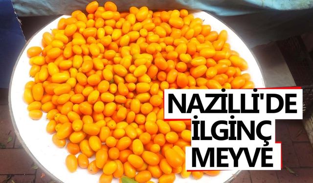 Nazilli'de ilginç meyve