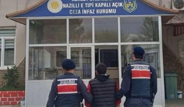 Nazilli'de kaçak avı