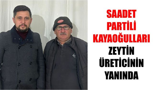 SP'li Kayaoğulları zeytin üreticisinin yanında