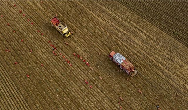 Körfez'de tırmanan kriz gıda fiyatlarını vuracak