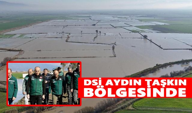 Büyük Menderes taşkını sonrası DSİ Aydın’da sahaya indi