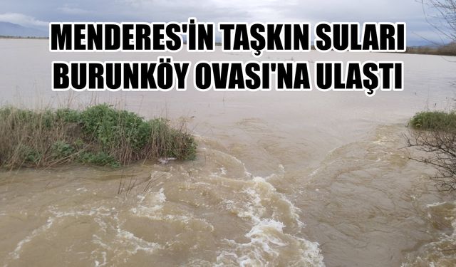Aydın’da Büyük Menderes’in taşkın suları Burunköy Ovası’na ulaştı