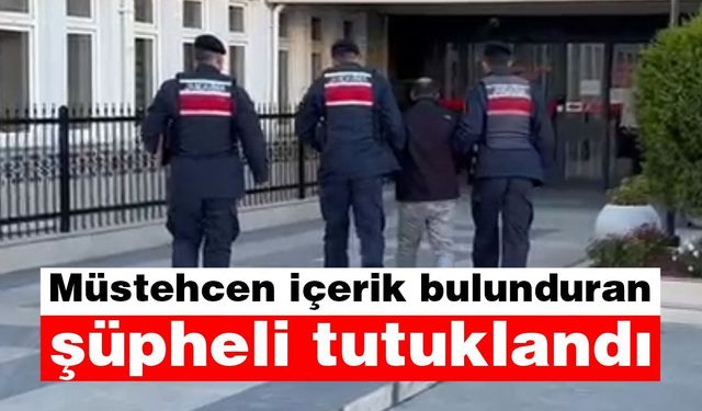 Aydın'da müstehcen içerik bulunduran şüpheli tutuklandı