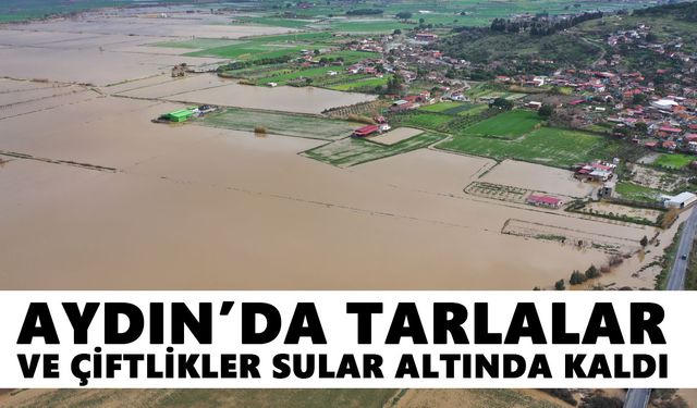 Aydın’da tarlalar ve çiftlikler sular altında kaldı