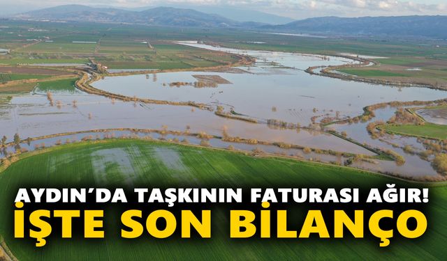 Aydın’da taşkının faturası ağır! İşte son bilanço