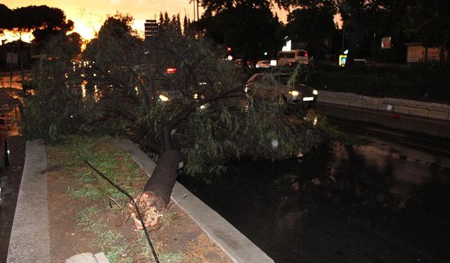 Aydın'da yaşayanlar dikkat