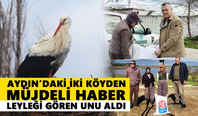 Aydın’daki iki köyden müjdeli haber: Leyleği gören unu aldı