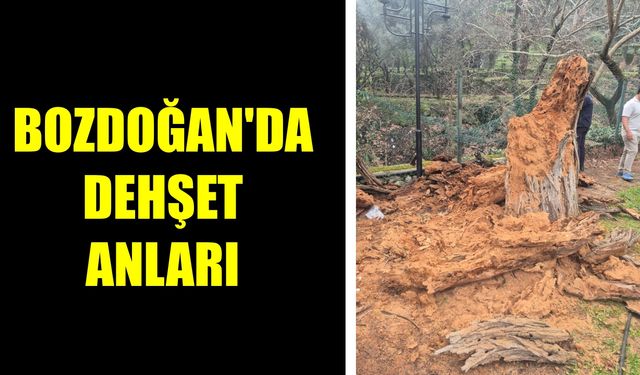 Bozdoğan'da dehşet anları