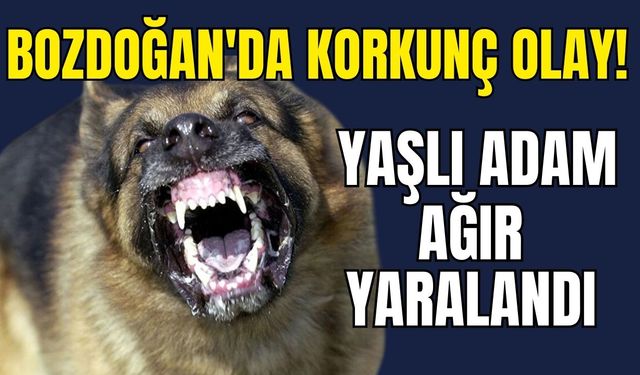 Bozdoğan'da korkunç olay: Yaşlı adam ağır yaralandı